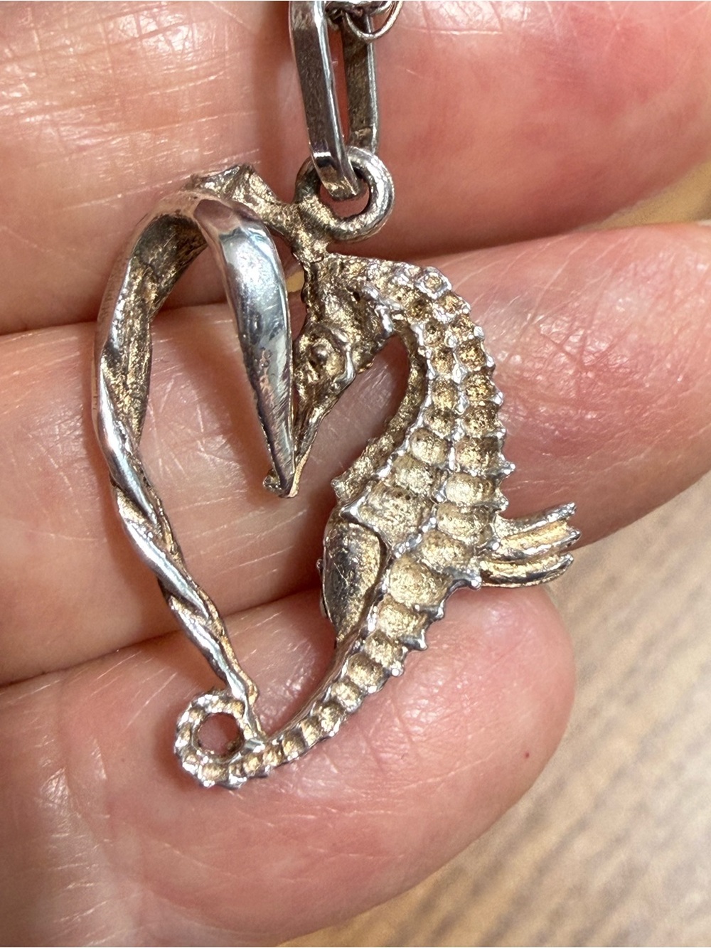 925 Sterling Seahorse Pendant on a 18” Sterling Rope Chain.